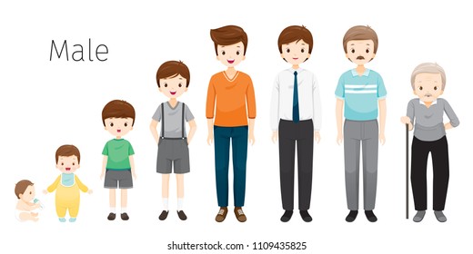 The Life Cycle Of Man. Generations And Stages Of Human Body Growth. Different Ages, Baby, Child, Teenager, Adult, Old Person, Age, People, Development, Lifestyle