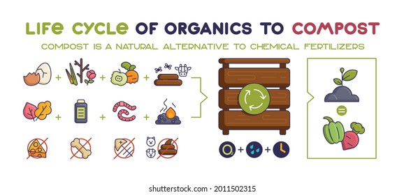 the life cycle of organic matter for composting. The scheme of turning waste into compost. Vector icons of fertilizer and waste.