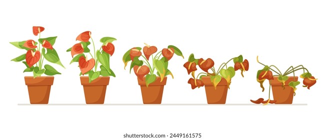 Life cycle of a potted plant, from healthy to wilting, flat vector illustration on a white background, concept of growth and decline. Vector illustration