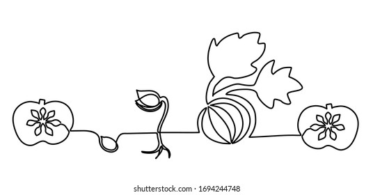 The life cycle of a pumpkin from a seed to a meal. Vector illustration isolated on a white background. One solid continuous line drawn by hand. Seed planted in the ground, sprout, vegetable, chopped