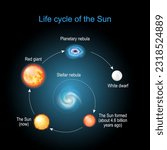 Life cycle of The Sun from Stellar nebula, to Red giant, Planetary nebula and White dwarfs. Stellar evolution. infographic. Vector diagram for astronomy.