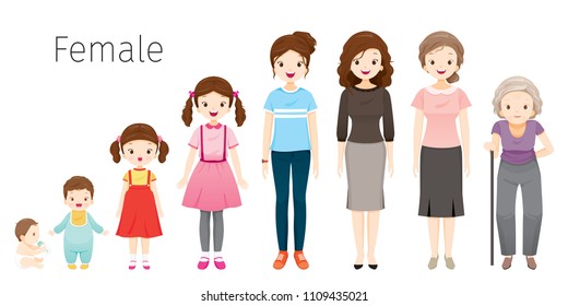 The Life Cycle Of Woman. Generations And Stages Of Human Body Growth. Different Ages, Baby, Child, teenager, adult, Old Person, Age, People, Development, Lifestyle