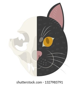 The life and death of Schrodinger's cat vector illustration. Schrodinger's famous thought experiment. Half alive half dead cat. Half skull half face of cat isolated on white background.