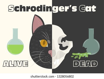 The life and death of Schrodinger's cat vector illustration. Schrodinger's famous thought experiment. Half alive half dead cat. Half skull half face of cat.