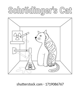 The life and death of Schrodinger's cat vector illustration. Schrodinger's famous thought experiment. 
Quantum superposition cat. Schrodinger's Cat illustration for text book. 