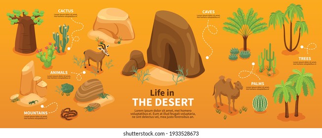 Life in desert isometric infographics with green trees and plants mountains and wild animals vector illustration