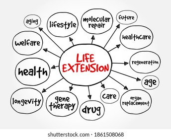 Life Extension Mind Map, Concept For Presentations And Reports