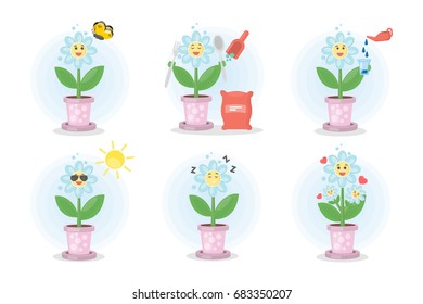 Life of a flower.
