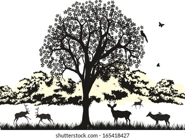 Life of forest