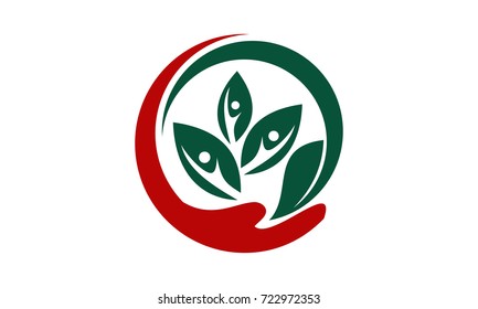 Life Healing Center 