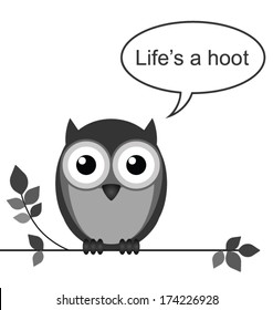Life is a hoot owl message isolated on white background