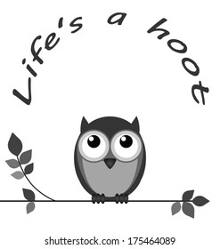 Life is a hoot owl message isolated on white background