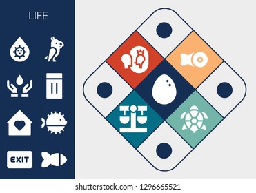  life icon set. 13 filled life icons. Simple modern icons about  - Egg, Exit, Fish, Home, Puffer fish, Blood donation, Inflatable, Blood, Parrot, Esteem, Balance, Turtle