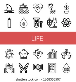 Life Icon Set. Collection Of Shark, Oxygen Tank, Rescue Boat, Blood Type, Heart Rate, Genetical, Giraffe, Bio, Plant, Atom, Sleeping, Zoo, Boy, Rabbit, Coral, Dna, Growth Icons