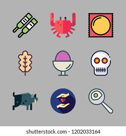 life icon set. vector set about crab, skull, condom and boar icons set.
