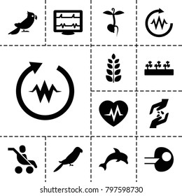 Life icons. set of 13 editable filled life icons such as parrot, sprout plants, sprout, heartbeat, core, dolphin, hand with seeds, baby carriage