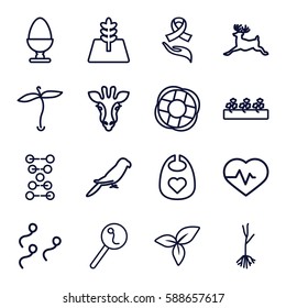 life icons set. Set of 16 life outline icons such as giraffe, parrot, deer, plant, baby bid, sprout plants, sprout, heartbeat, leaf, search sperm, ribbon on hand, sperm, tree