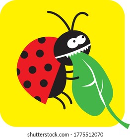 life of insects. hungry beetle eats a green leaf. vector drawing for Illustration.