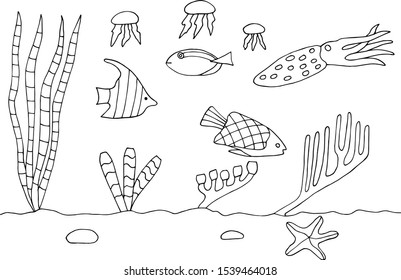 Life of marine animals coloring page contour vector illustration eps for painting
