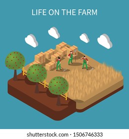 Life on farm isometric composition with agricultural workers engaged in haymaking on rustic landscape background vector Illustration