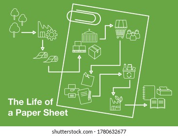 The Life of a Paper Sheet - Recycling - Infographic Linear Style 