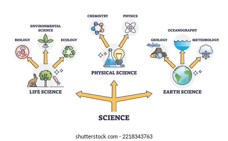 Diagrama de esquema de la red de ramas de la vida, la ciencia física y la tierra. Esquema educativo etiquetado con conexiones de estudio científico para la biología, química, física y geología, ilustración vectorial