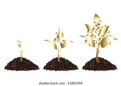 Proceso de vida de árbol dorado con monedas doradas, aislado en blanco