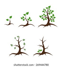 Life of the tree - shoot, young plant, big tree, old tree and death - vector illustration