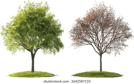 Árboles de vida Vector, hoja de transición, serenidad, arte de la naturaleza, verde vibrante, respetuoso del medio ambiente, Formas botánicas, equilibrio ambiental, Elementos naturales, inspiración forestal, transformación estacional