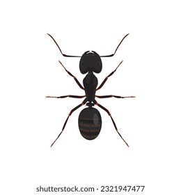 Life-Like Carpenter Ant, Camponotus Insect, Bug