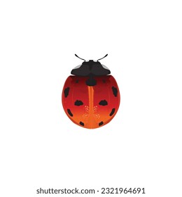 Life-Like Ladybug, Coccinellidae Insect, Bug