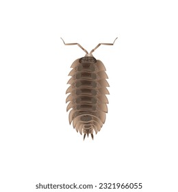 Life-Like Pill bugs, Armadillidiidae Insect, Bug