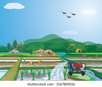 lifestyle of farmer at countryside vector design