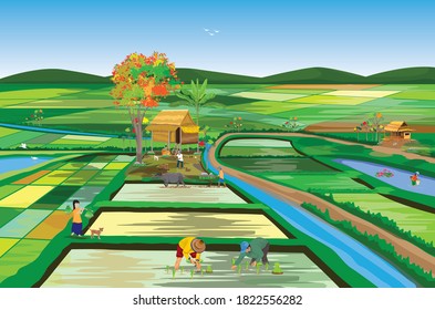 lifestyle of farmer at countryside  vector design