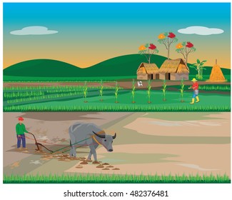 estilo de vida del diseño de los vectores agrícolas