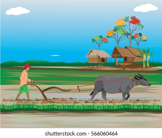 Lifestyle of farmer vector design