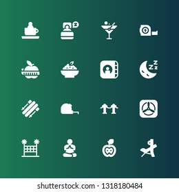 lifestyle icon set. Collection of 16 filled lifestyle icons included Bench press, Apple, Yoga, Volleyball net, Red carpet, Measuring tape, Skii, Sleep, Porridge, Martini, Ride