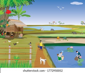 lifestyle of people at countryside,farmer transplant rice seeding vector design
