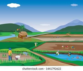 lifestyle of people at countryside,paddy field and canal vector design