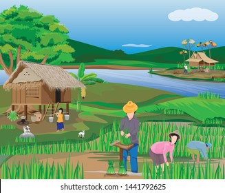 lifestyle of people at countryside,paddy field and canal vector design