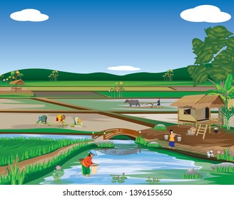 lifestyle of villager at countryside vector design