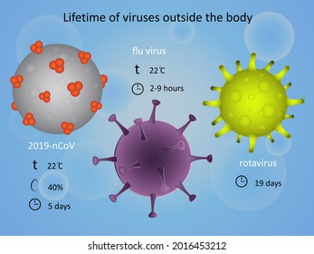 Lifetime of viruses outside the body. Infection.