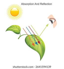 light absorption and light reflection isolated on white. Black, white, orange, red, green, blue surfaces, black body, blackbody and white body,properties of light, physics illustration