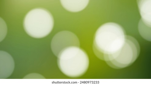 Light and airy green bokeh, reminiscent of a garden morning. Premium realistic vector background for wallpaper, poster and banner backgrounds.