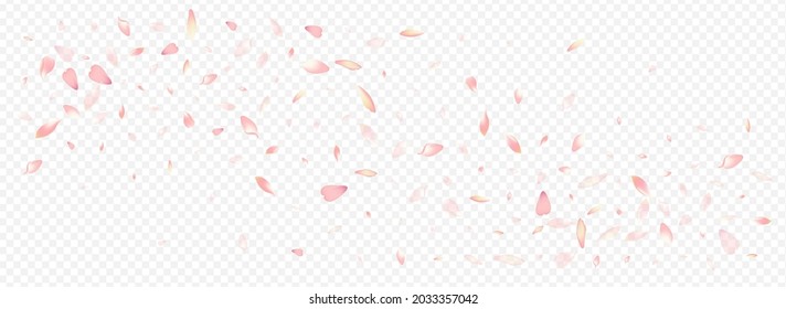 Light Apple Vector Panoramic Transparent Background. Peach Romance Cover. Lotus Rain Design. Rosa Romantic Backdrop. Color Cherry Beauty Banner.