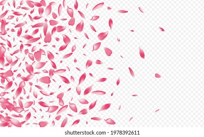Light Apple Vector Transparent Background. Rosa 3d Illustration. Heart Valentine Card. Blooming Free Backdrop. Red Lotus Wind Design.