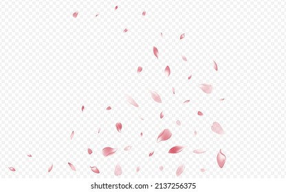 Light Apple Vector Transparent Background. Rose Free Poster. Sakura Blow Card. Petal Springtime Banner. Bright Cherry Japanese Backdrop.