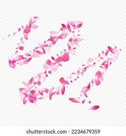 Light Apple Vector Transparent Background. Sakura Romantic Backdrop. Heart Spring Congratulation. Floral Invitation Card. White Lotus Japan Texture.