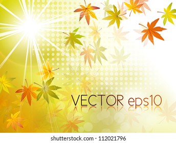 Light autumn background with fall leaves and sun