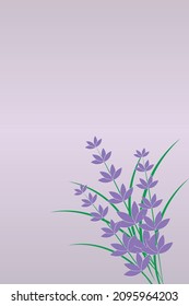 Light background with lavender branch for poster, banner, cover, story